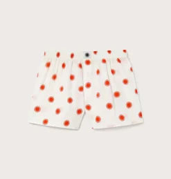 Boxer sol rojo