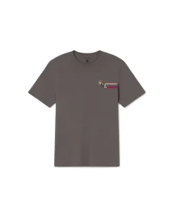 Camiseta gris sol Zach