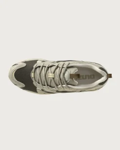 Zapatillas marrones Wave Rider 10 Premium